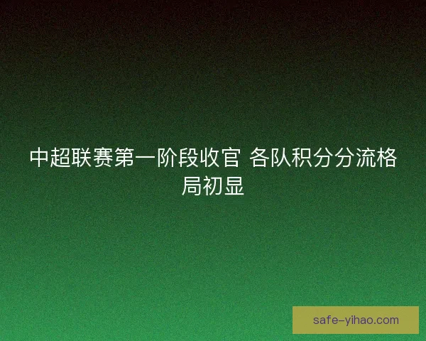 中超联赛第一阶段收官 各队积分分流格局初显